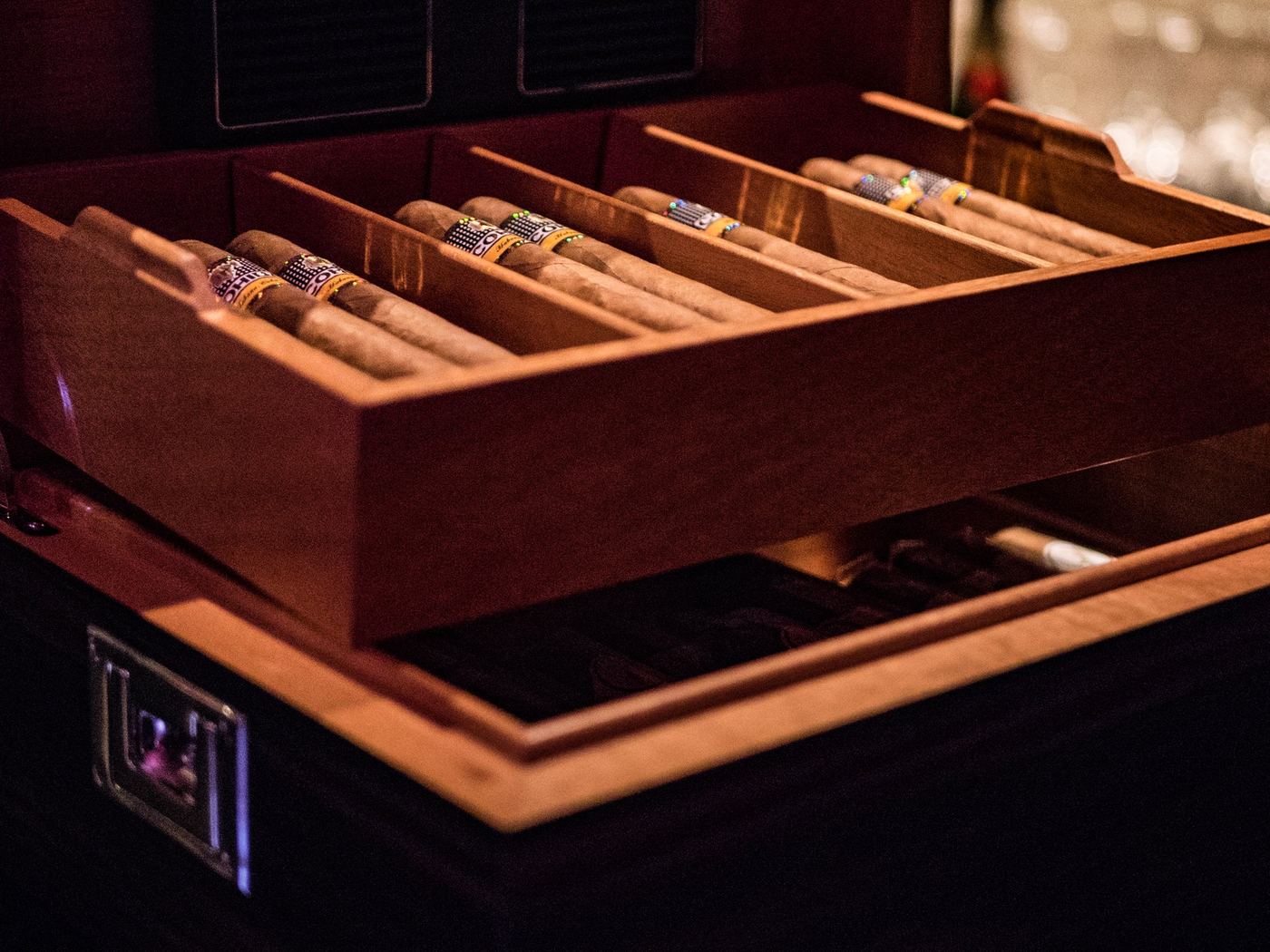 The cigar humidor